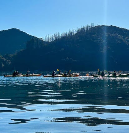 Landscape filler Queen Charlotte Sound thumb