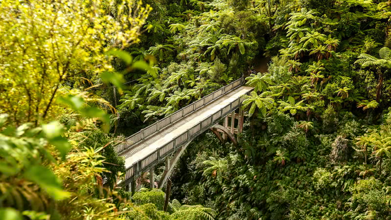 Bridge to Nowhere visit Ruapehu S2